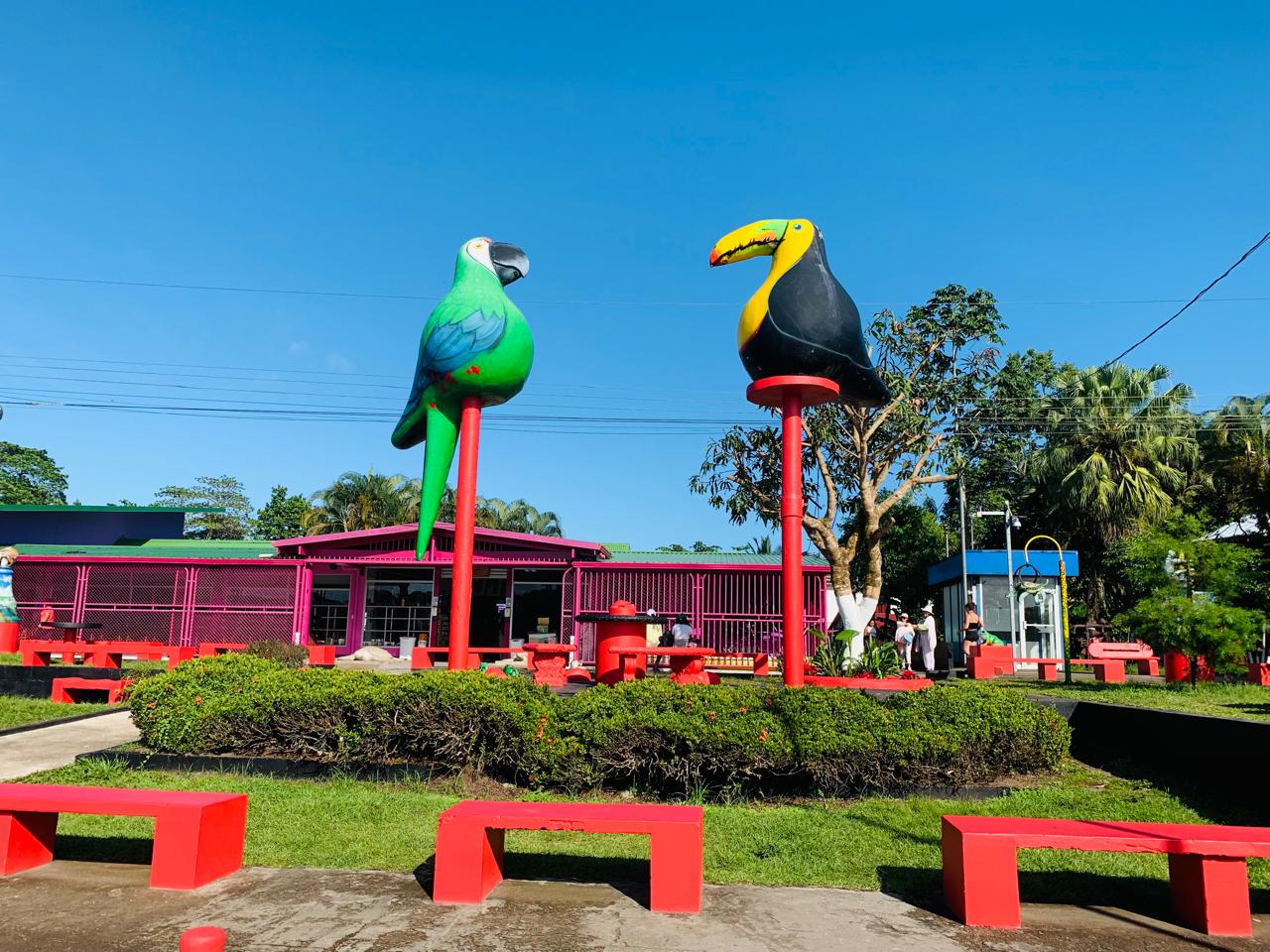 Tortuguero WhatsApp Image 2025-12-06 at 11.40.41 AM (2)